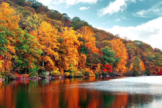 Fal color trees on a lake