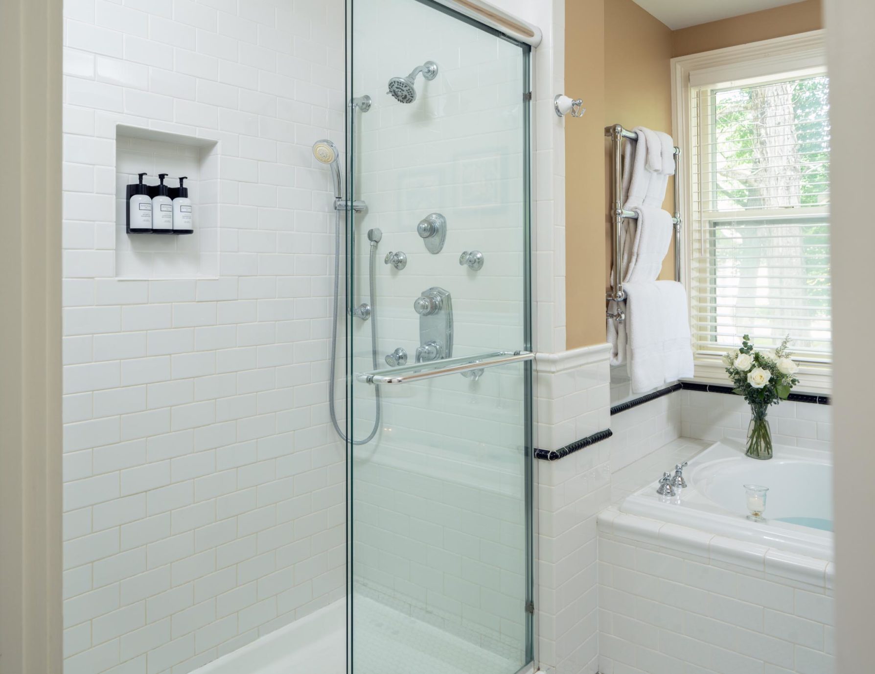 Dream Shower and Jetted Tub