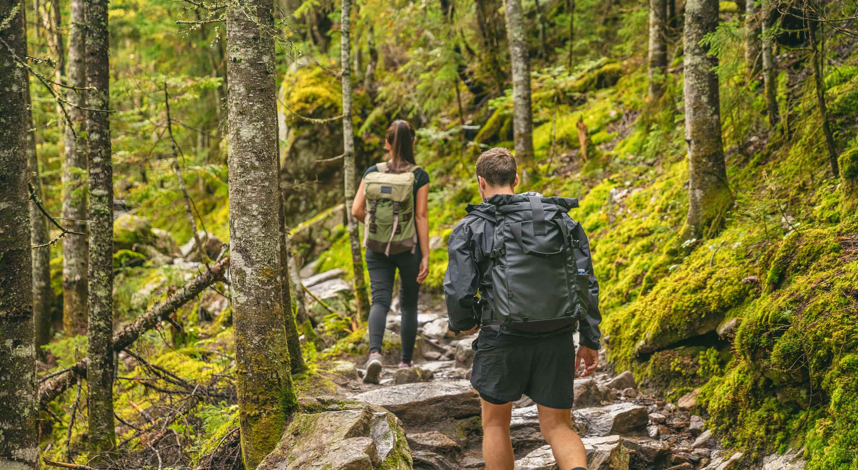 Fit couple hikes through forest in Upstate NY